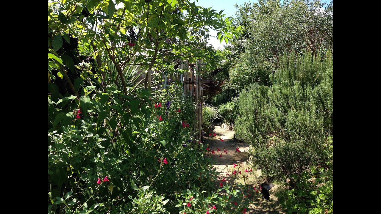 ハーブガーデン紹介８月秋植えの準備～自然のハーバルライフ～-HERB-Japanese Herb Garden Gardening