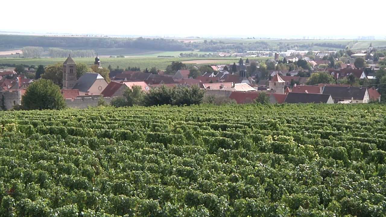 Das Weingut Ziegler in Flörsheim-Dalsheim