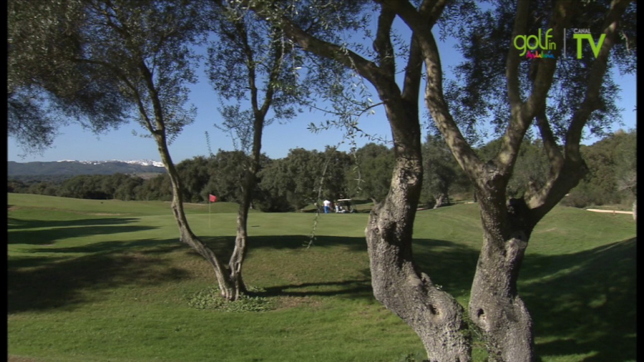 Montenmedio Golf: Un resort más allá del golf.
