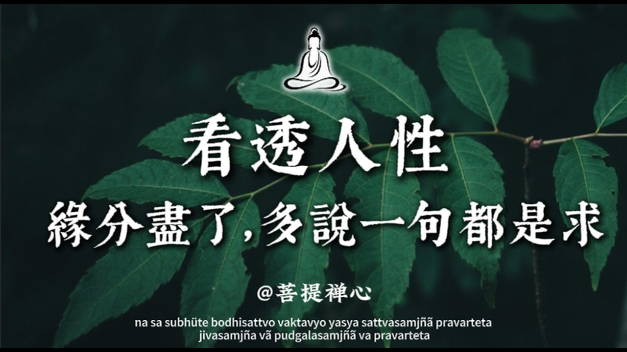 緣分盡了，多說一句都是求。看懂了這句話，你就放下了｜菩提禪心#佛学 #人生感悟 #修行 #修心修行 #國學 #治愈