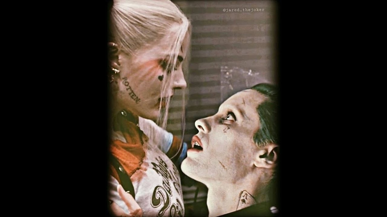 Harley & Joker | Ты снишься мне