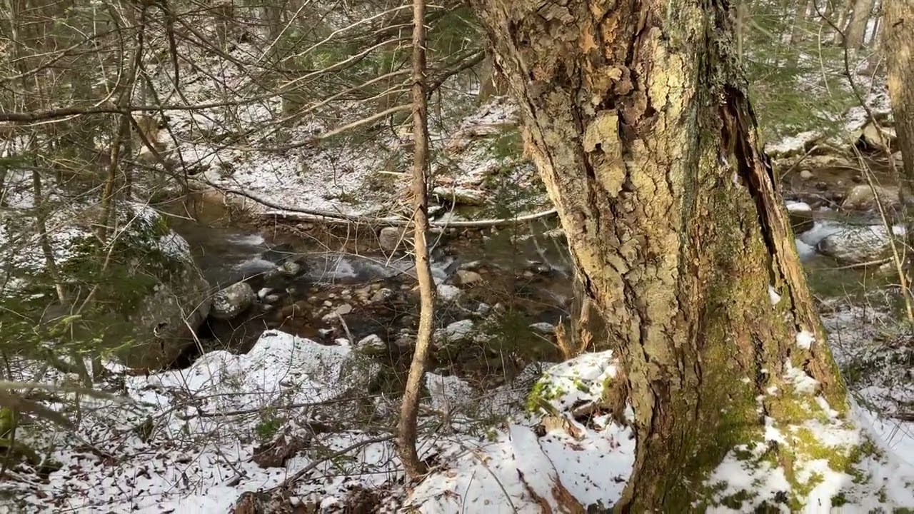 The Wonalancet River, from the Tom Wiggin Trail.