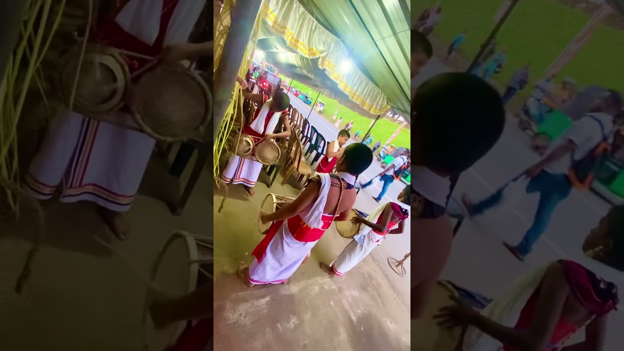 පුංචි පැටවුන් ගේ හැකියාව...රටක් වටින පැටවු ටික 