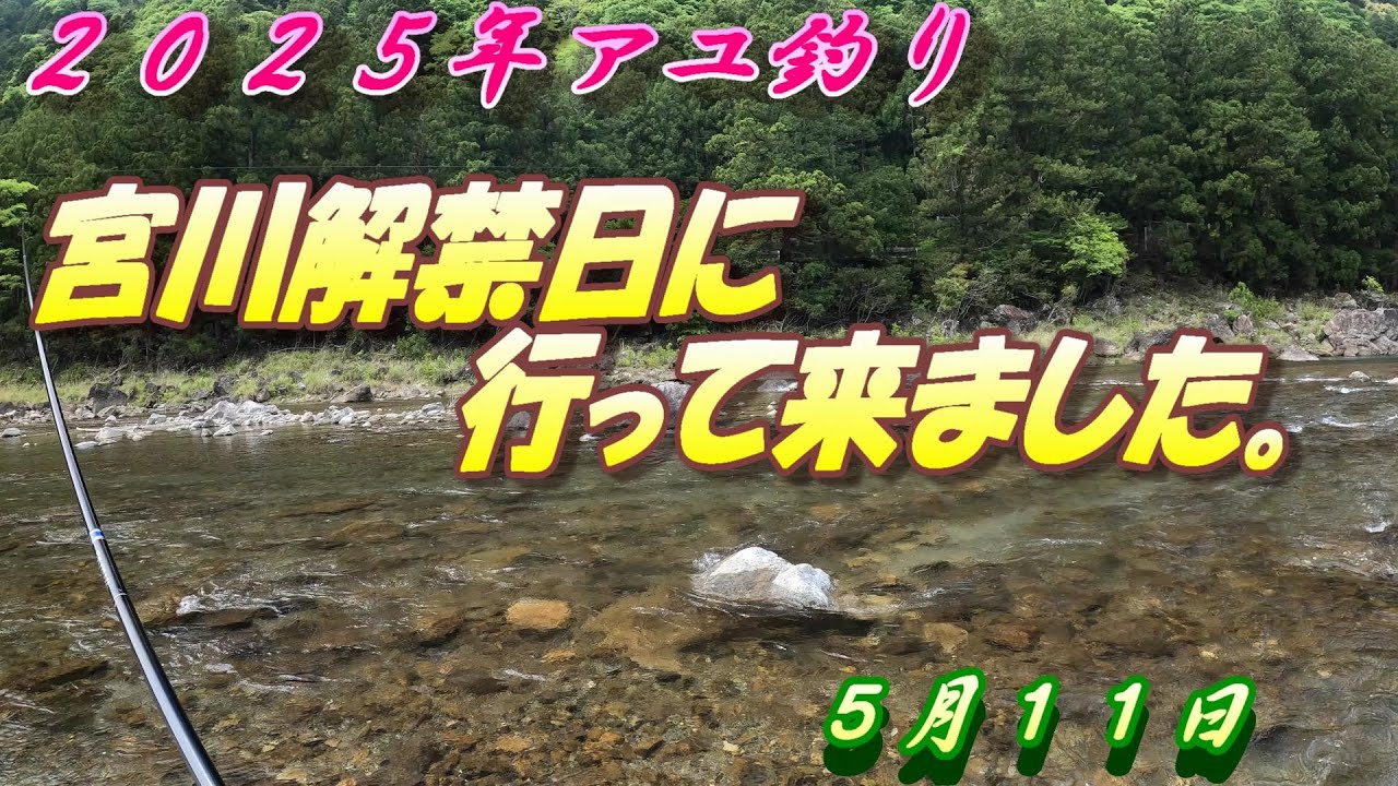 【宮川鮎釣り】解禁日釣行！前夜入りして頑張りました！