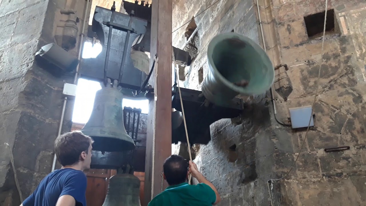 Repret 2019/ Campanes xicotetes