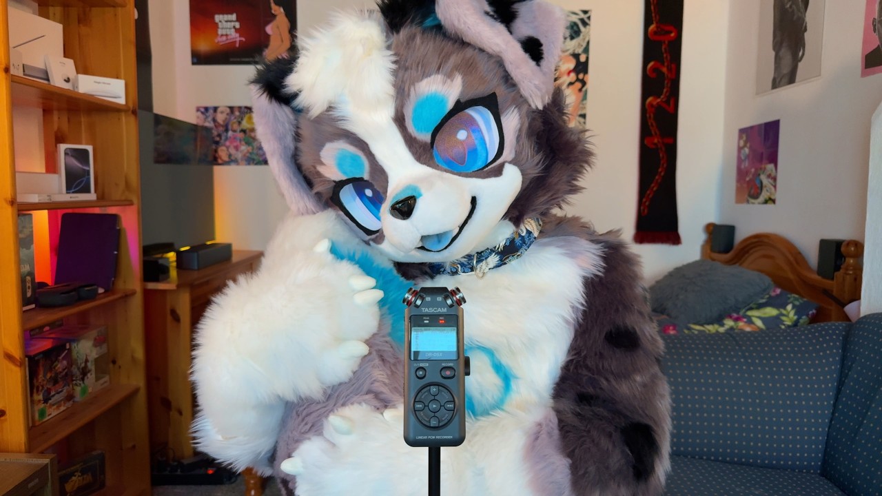 Furry ASMR made by a blue dog :3