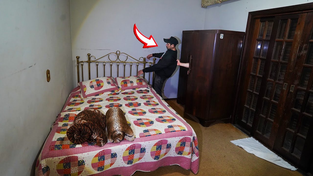 ОН ПЫТАЛСЯ ЗАТЯНУТЬ ЭНРИКУ В ШКАФ