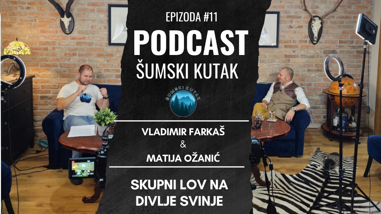 Podcast Šumski kutak---- Skupni lov na Divlje svinje (Vladimir Farkaš)