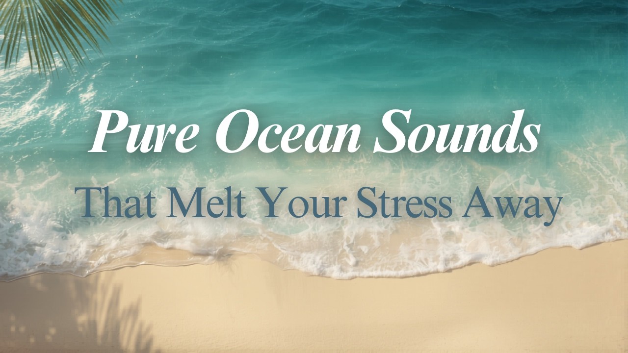 Pure Ocean Sounds That Melt Your Stress Away