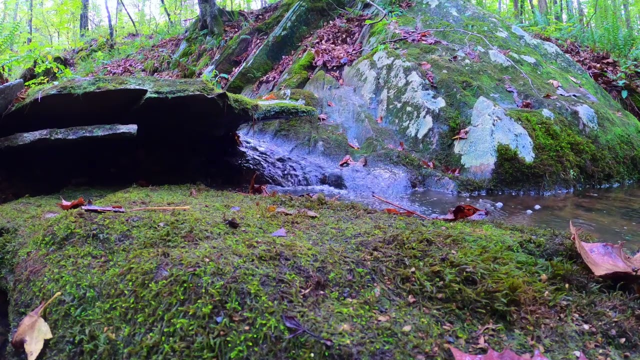 Hillside Spring Flowing Through Rocks for Calming Your Mind