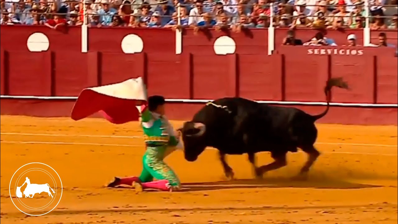 A porta gayola, Manuel Escribano, primer toro, Feria de Málaga 19-08-2025