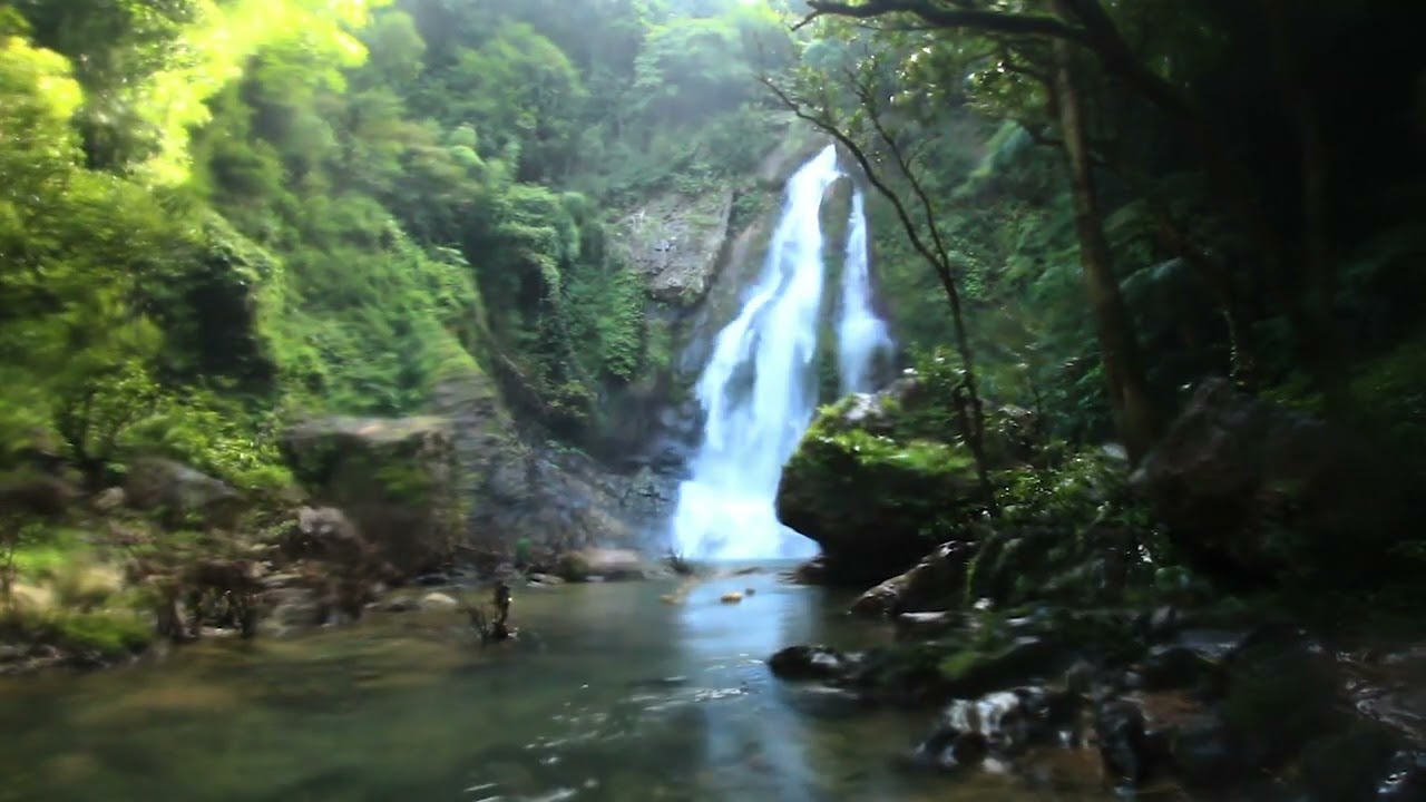深い森に響く滝音｜静寂と水の流れ ASMRWaterfall Echoing in a Deep Forest | Nature Sound ASMR