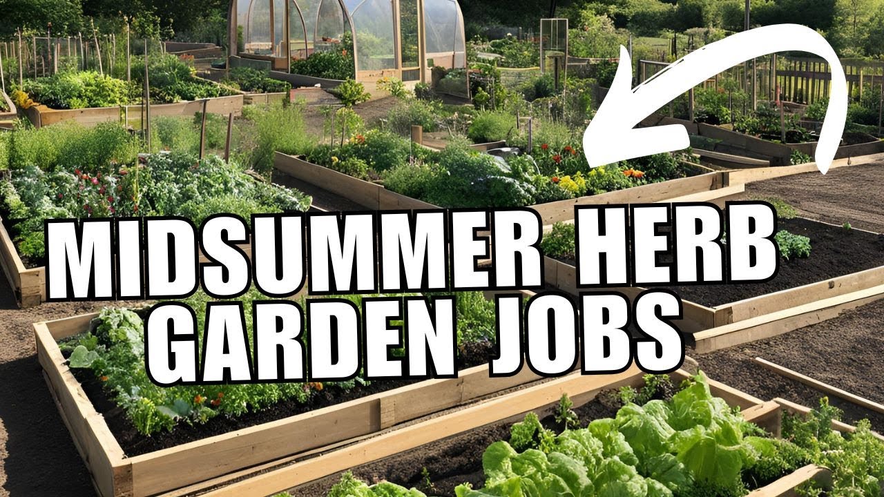 Jobs to do now in the Midsummer Herb Garden
