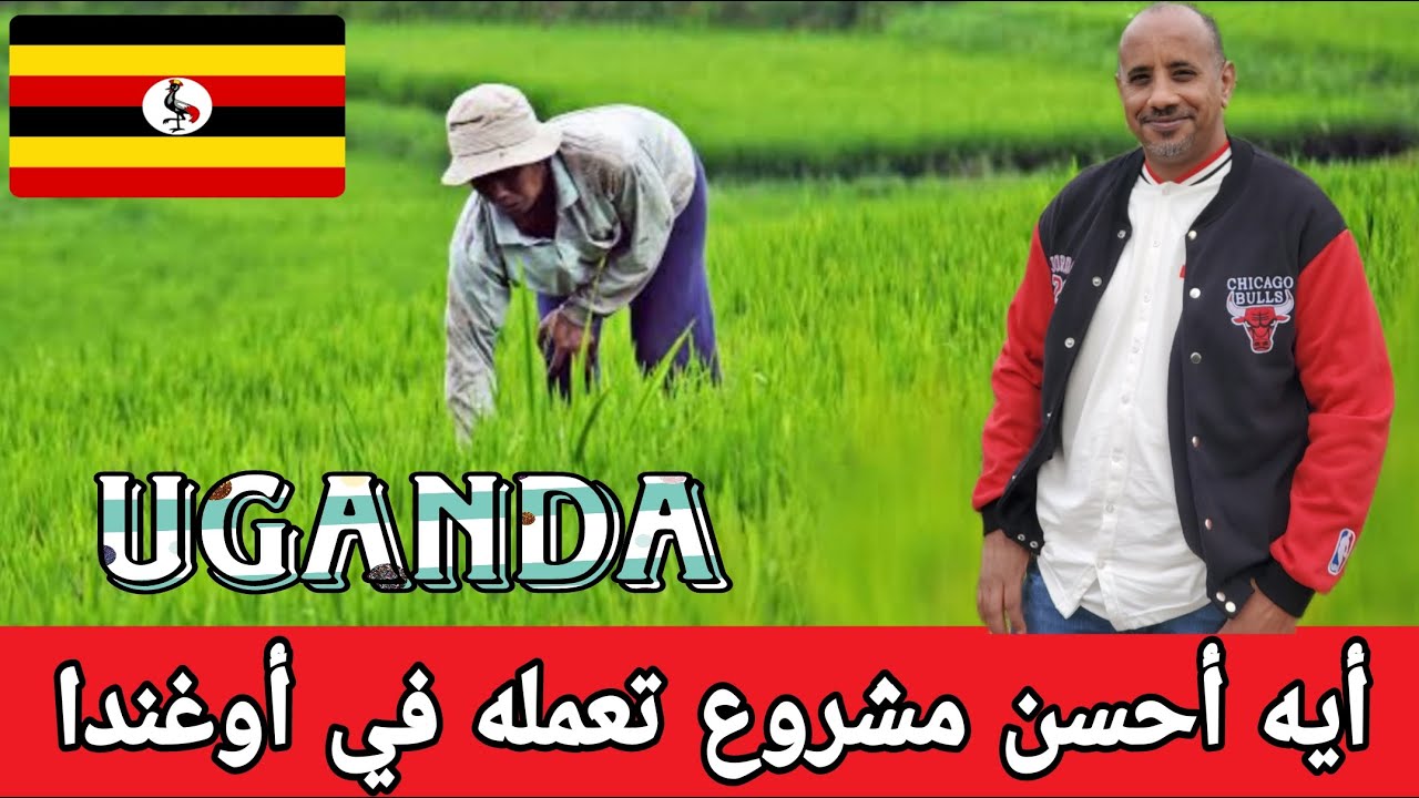 المشاريع الناجحة في أوغندا ‼️ ليه أوغندا من أفضل الدول اللي تبدأ فيها مشروعك ؟؟‼️