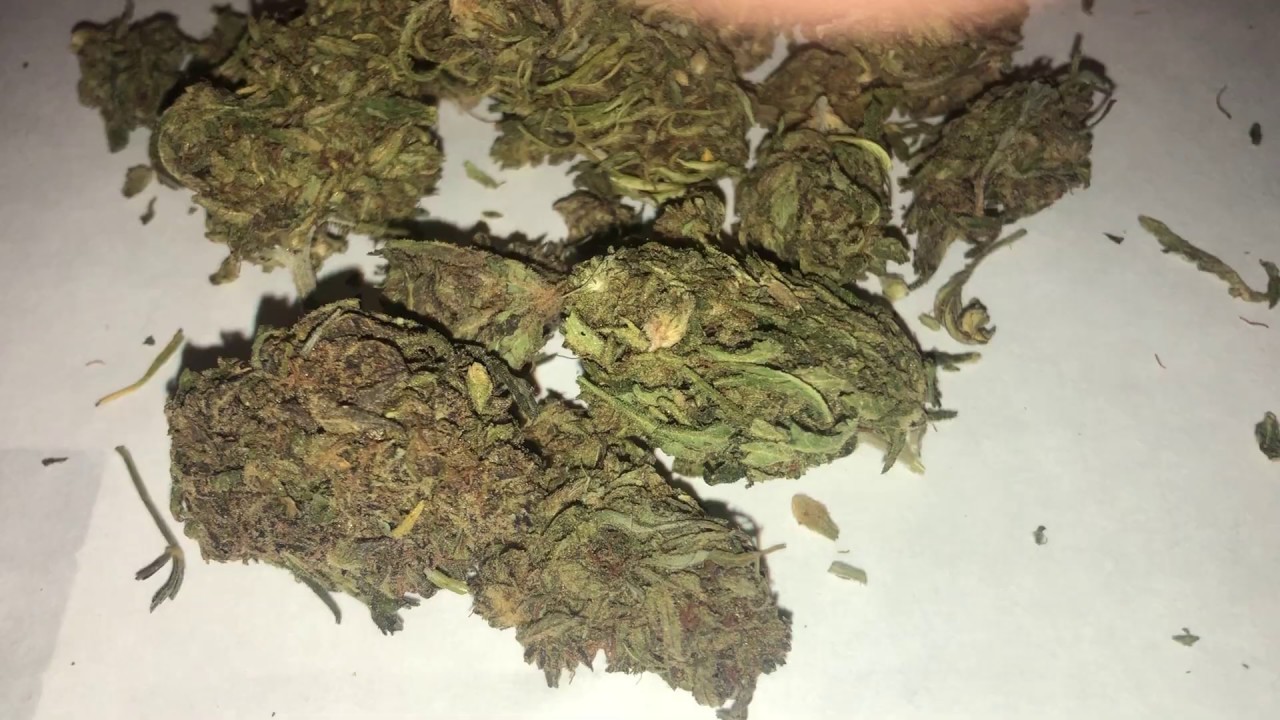 Industrial Hemp. Strain: Sunset Road Sherbert. 19% CBD. For Sale Link in Description.