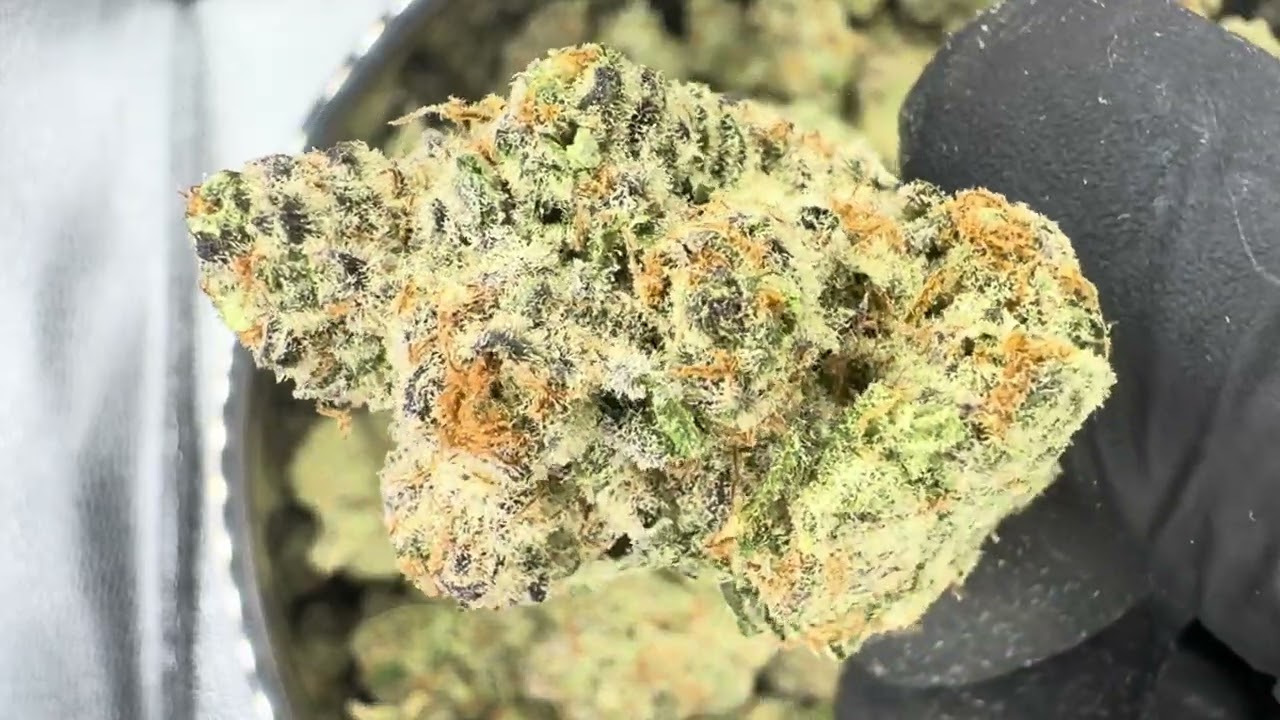 Alien Rock Candy AAAA Exotic Living Organic Soil Grown THCA Hemp Flower