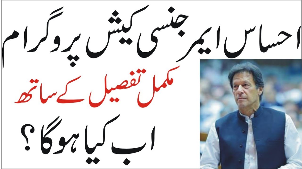 Ehsaas Emergency program |Latest update code 2020|Janch Partal new updates| insaaf imdad