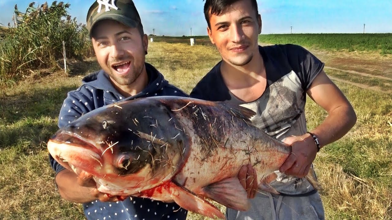 RECORD LA NOVAC 17KG AM RUPT NORMELE FISH HACKER