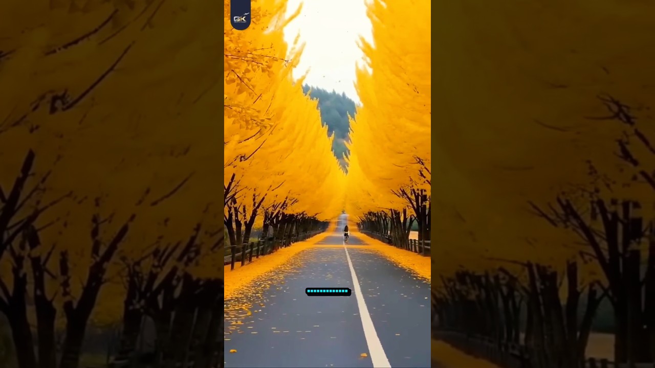 Before You Go Here—Watch This 