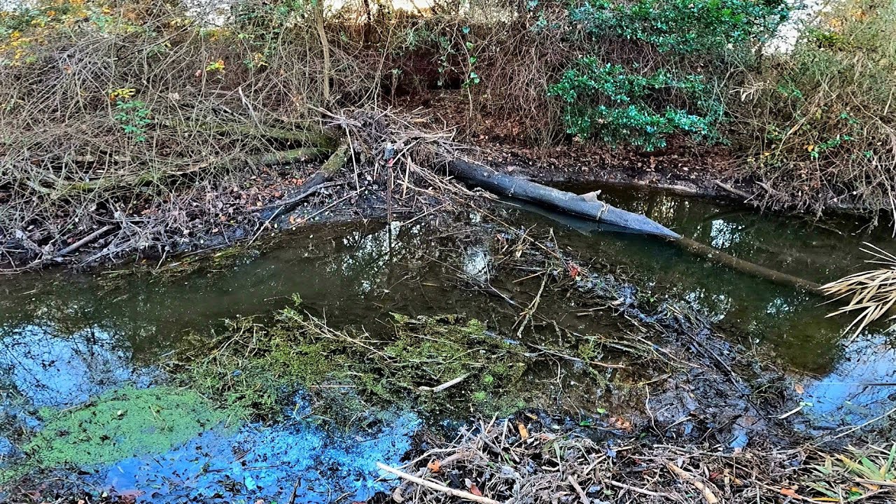 BEAVER DAM REMOVAL! || I Can't Believe This! 🤭 Mother Beaver Dam Number 2! S4 EP.13!