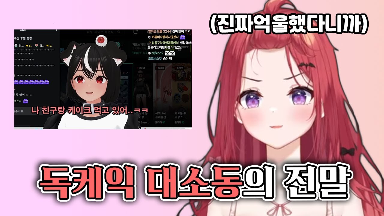 이제는 말할수 있는 독케익 대소동의 전말