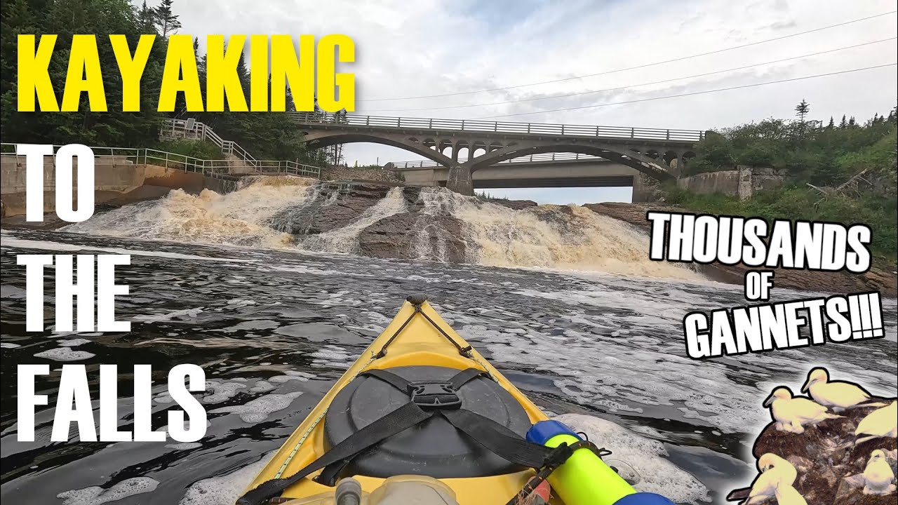 Colinet Bay to Rocky River Falls: A Scenic Paddle Adventure