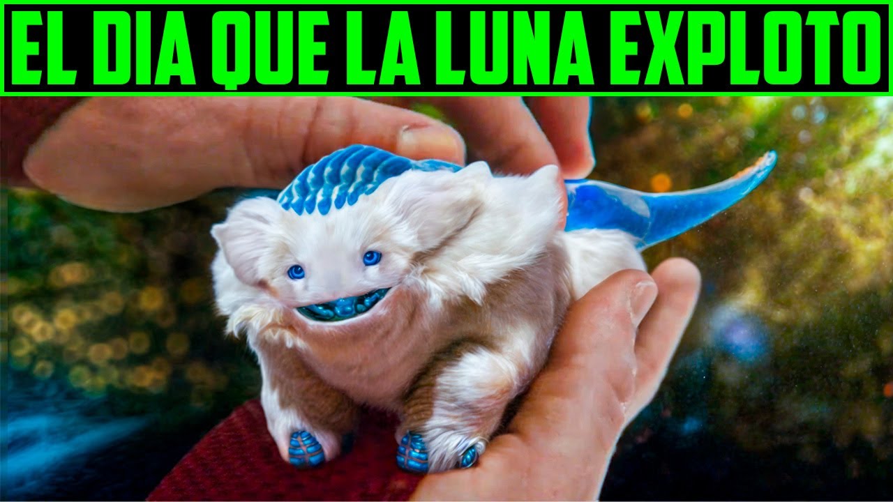 SIN QUERER LOGRA DOMAR A LA CRIATURA MAS TEMIBLE DEL UNIVERSO - COSMOBALL RESUMEN EN 10 SEGUNDOS