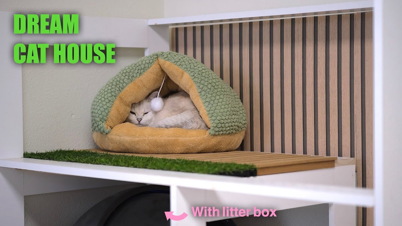 From Litter Box to Luxury Suite – DIY Cat House Reveal | Indoor Cat House build with Litter Robot