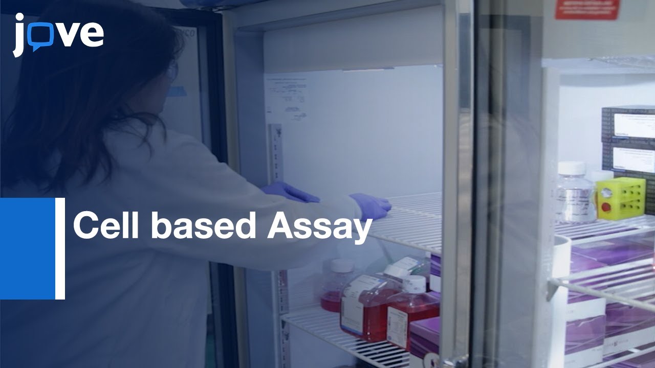 Cell based Assay to Detect Antibodies in Enzyme Replacement Therapies | Protocol Preview