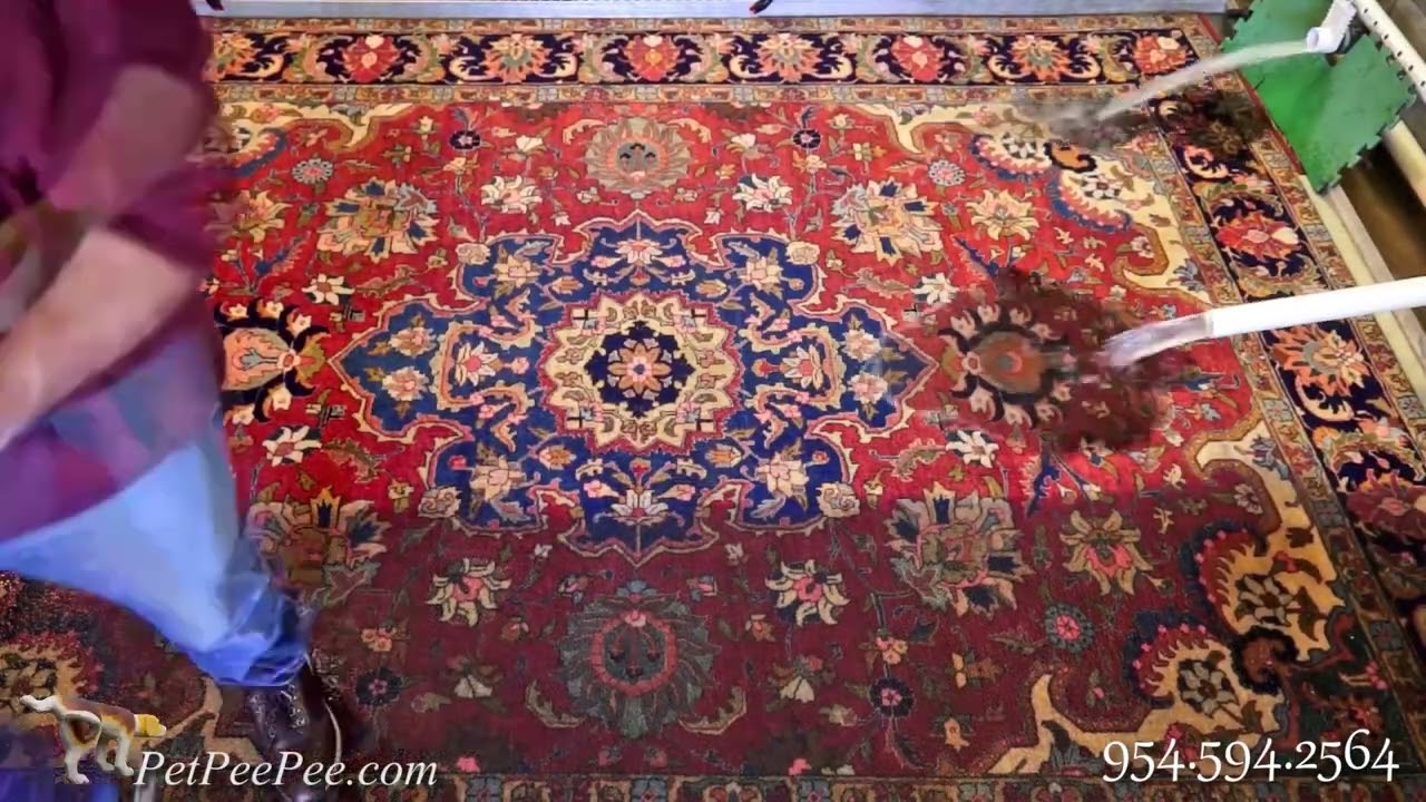 Rug cleaning from Pet Pee Odor | PetPeePee&reg;