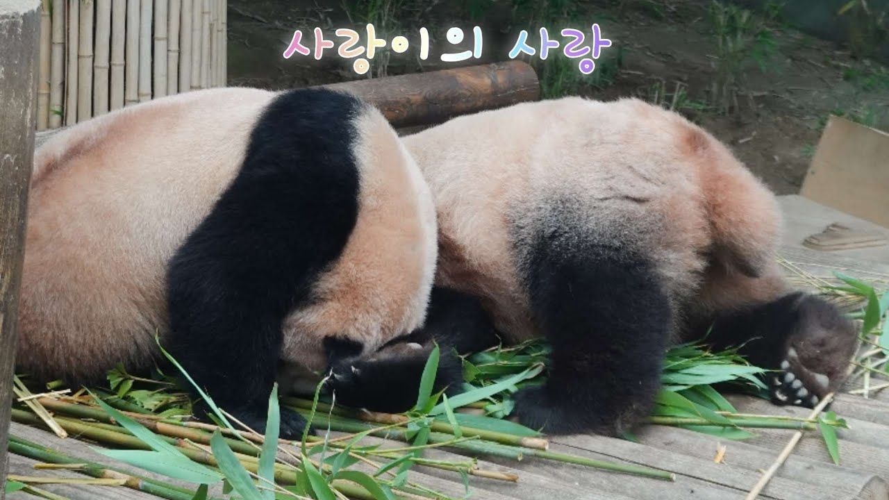 독립훈련 6일차 2차 야간독립 첫 시작 날