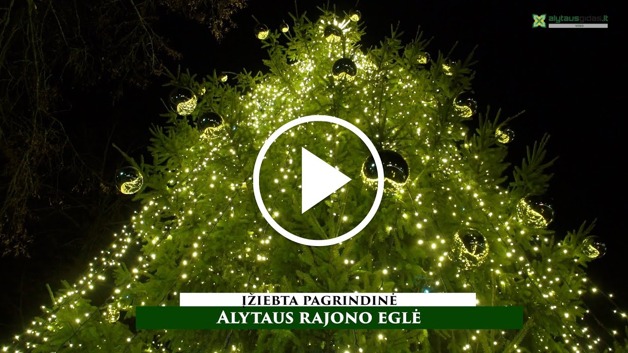 Įžiebta pagrindinė Alytaus rajono eglė