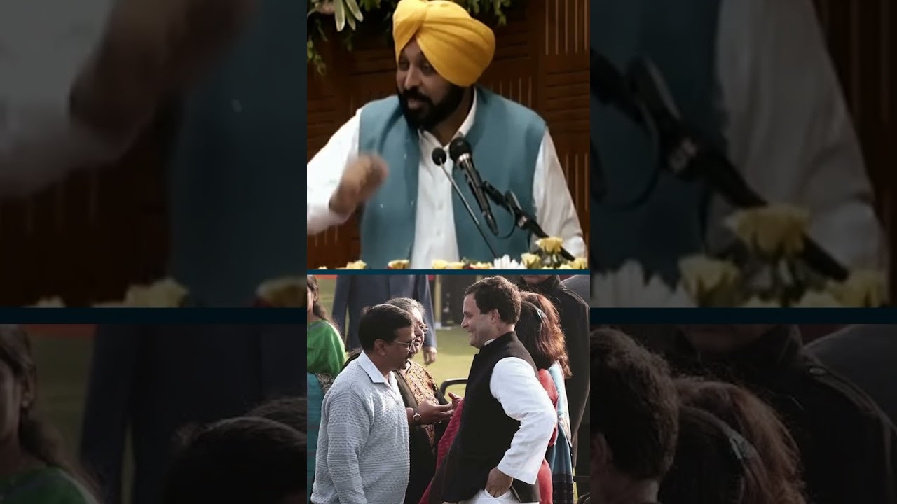 Bhagwant Mann statement on alliance | #arvindkejriwal #aap #aamadmiparty #bhagwantmann  #punjab