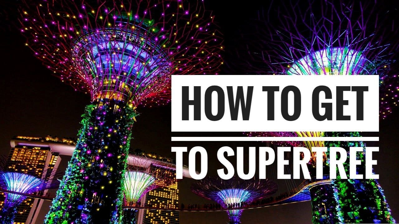 How to get to supertree From Promanade MRT