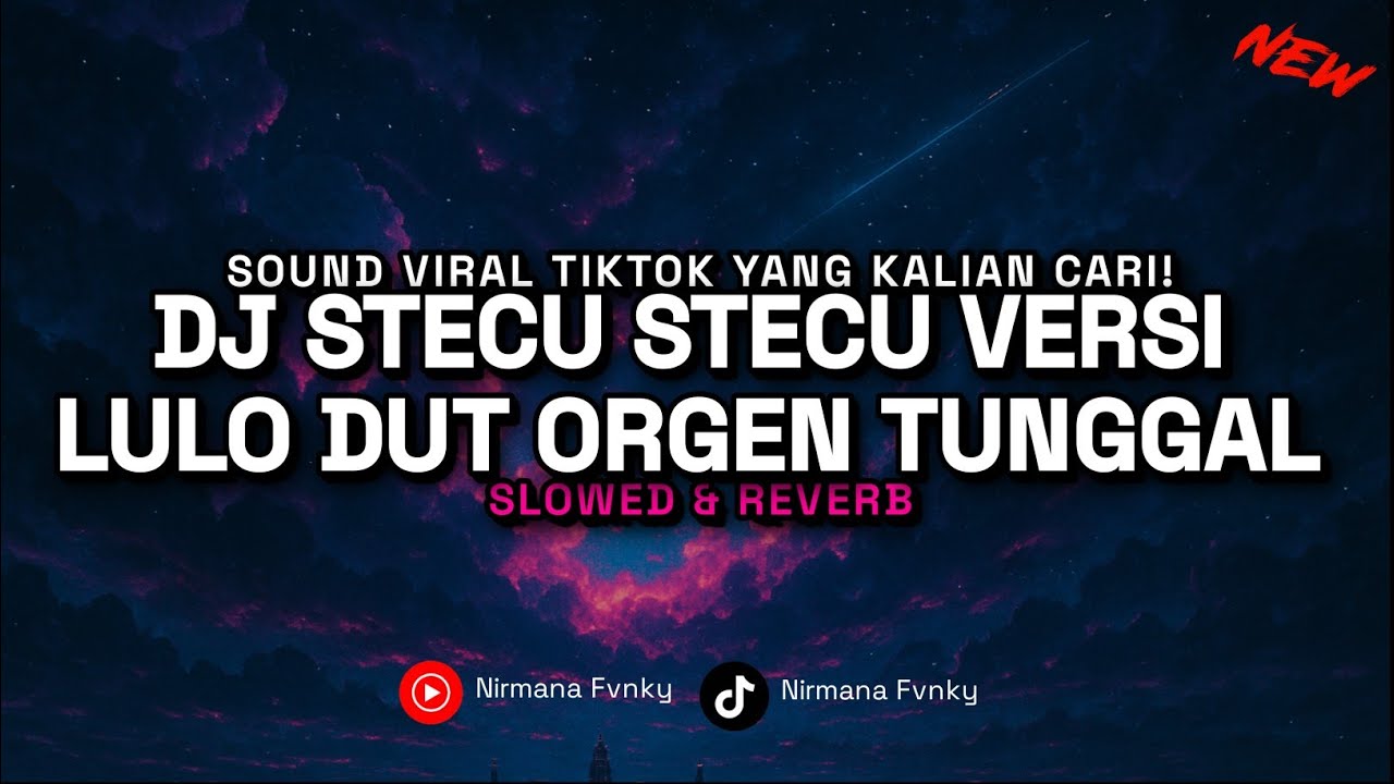DJ STECU STECU VERSI ORGEN TUNGGAL BY DAYMA PROJECT VIRAL TIKTOK TERBARU 2025!! (Slowed & Reverb)