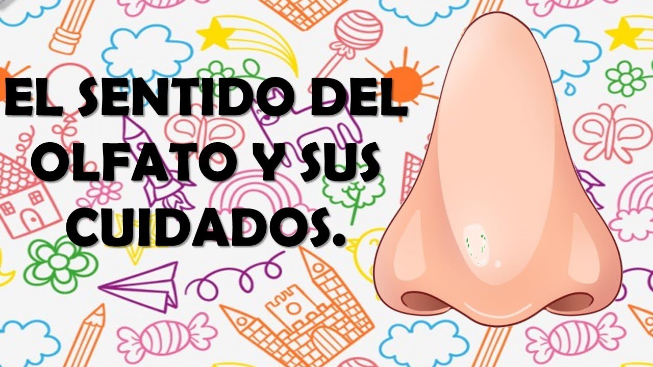 El sentido del olfato y sus cuidados. / Profe &Aacute;ngel