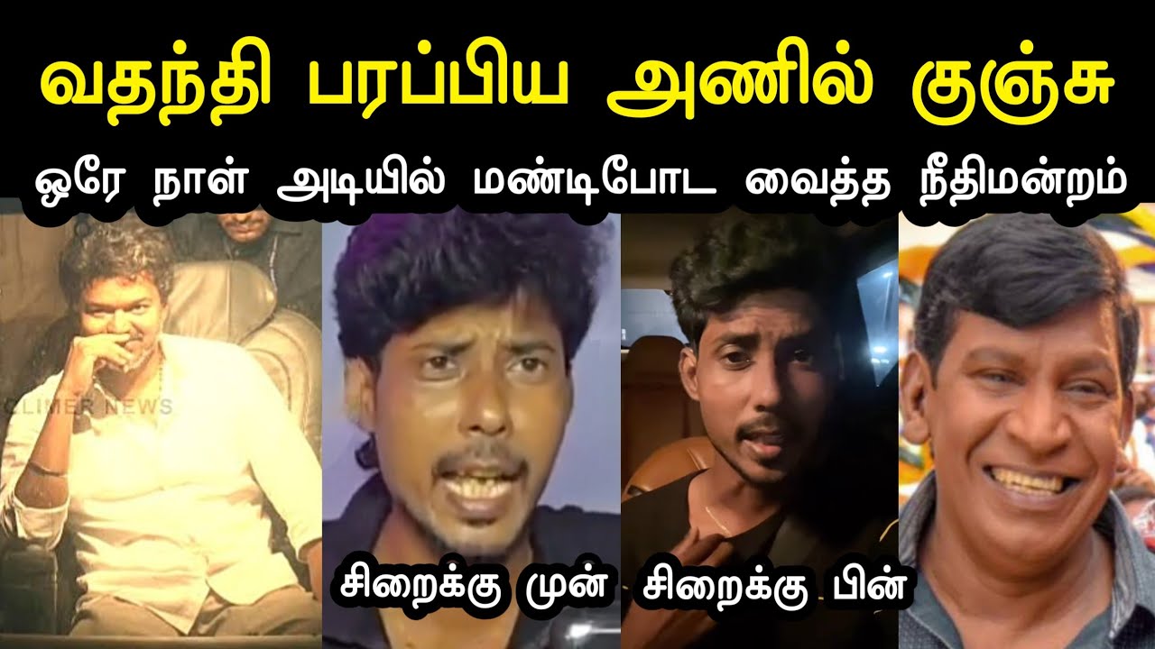 The squirrel that spread rumors | Tvk Tharkuri Anils Troll | 20 Lakhs Tvk Vijay News | A1TROLLS