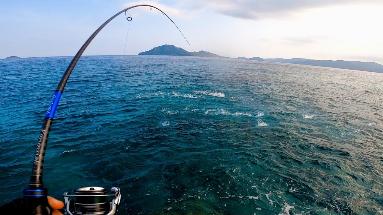 FEEDING FRENZY! Skipjack Tuna Mackerel | Rock Fishing | Light Tackle