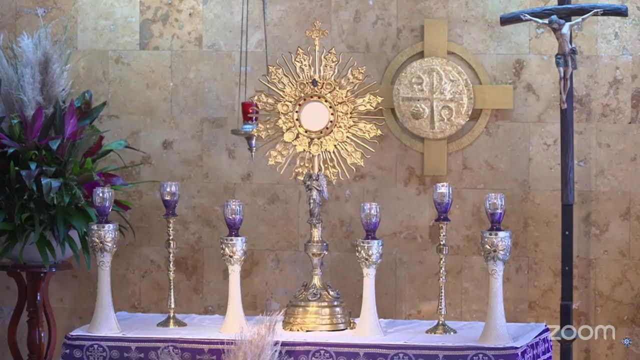 Cenáculo virtual ✝️🌹 Inmaculado Corazón de María 🌹Santo Rosario🌹20/02/26