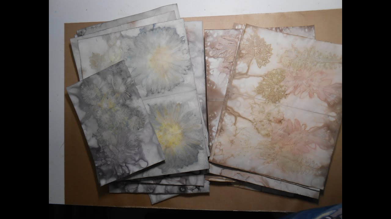 Making Eco Dyed Papers - My First & Second Attempts