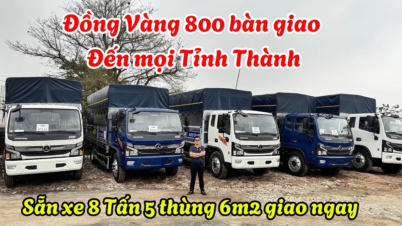 🚛 Đồng Vàng 800 – Bàn Giao Tới Khắp Các Tỉnh Thành - Sẵn xe giao ngay 