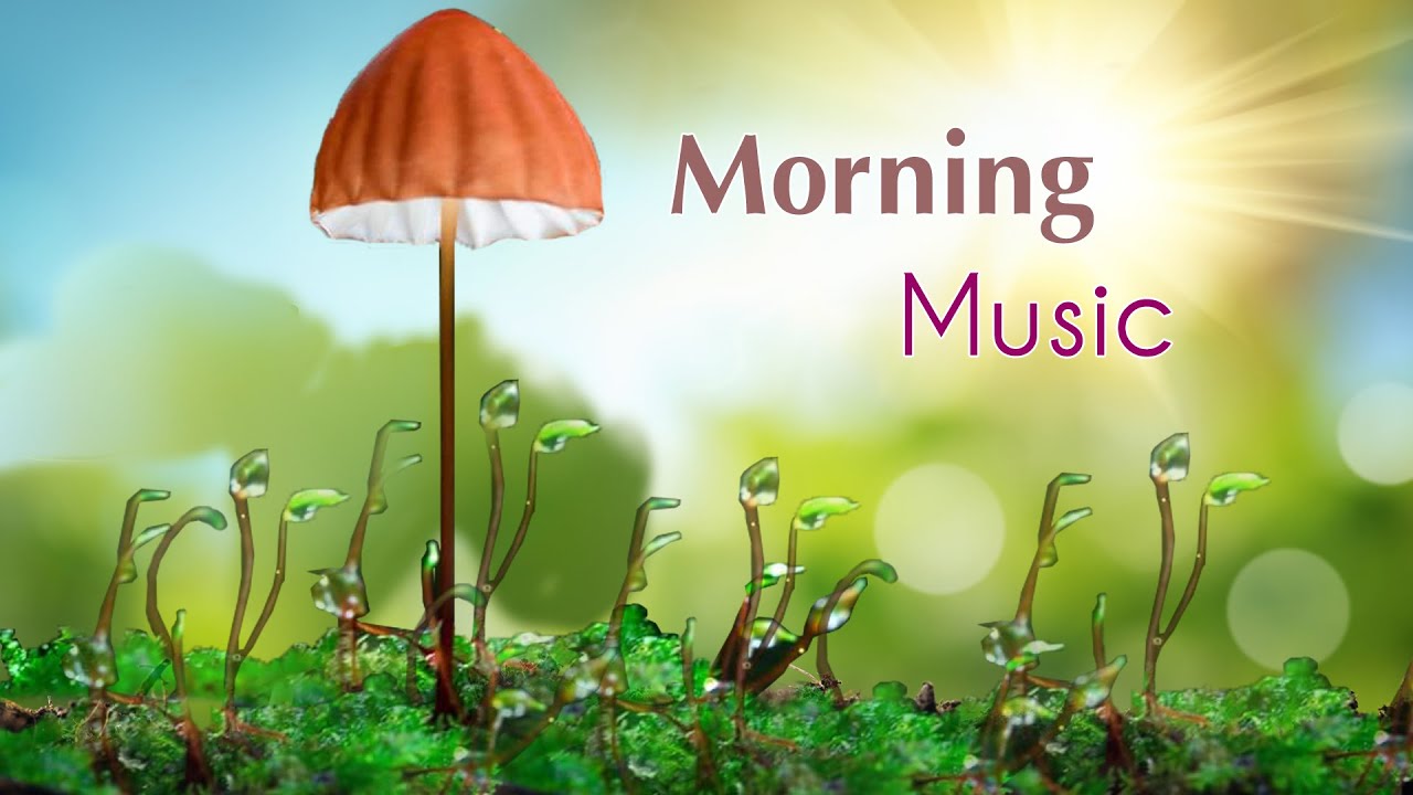 Morning Relaxing Music - Beautiful Piano Music For Stress Relief with Positive Energy