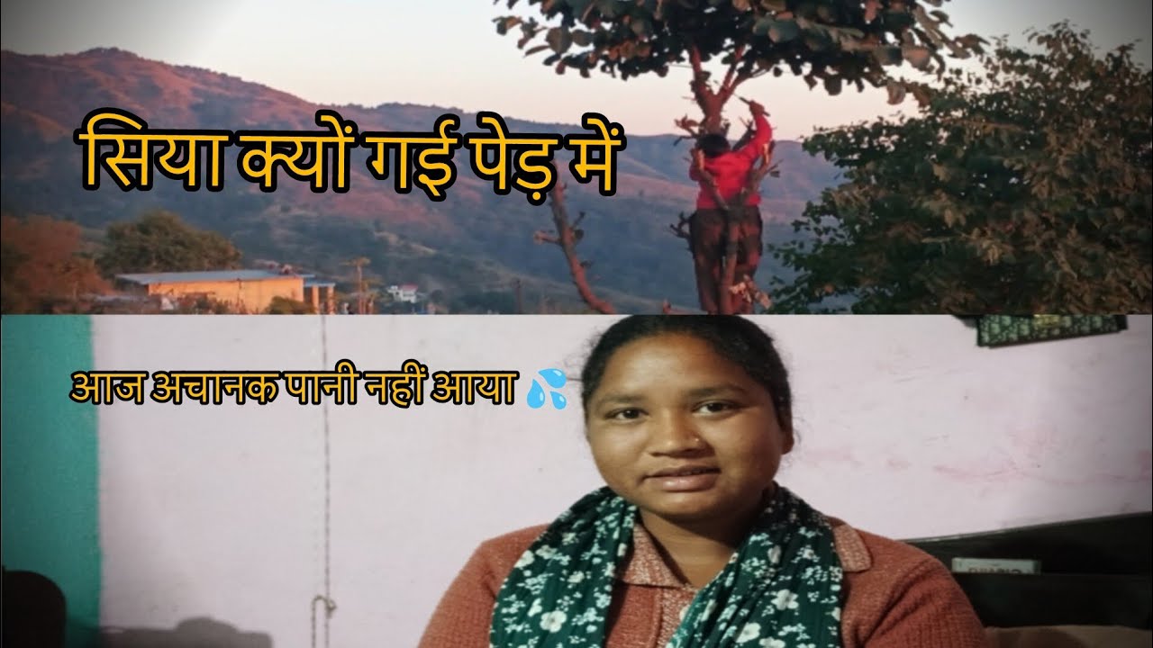 आखिर क्यों चढ़ गई सिया पेड़ 🌳 में ओर आज पानी 💦 क्यों नहीं आया #phadilifestyle #dailyvlog 