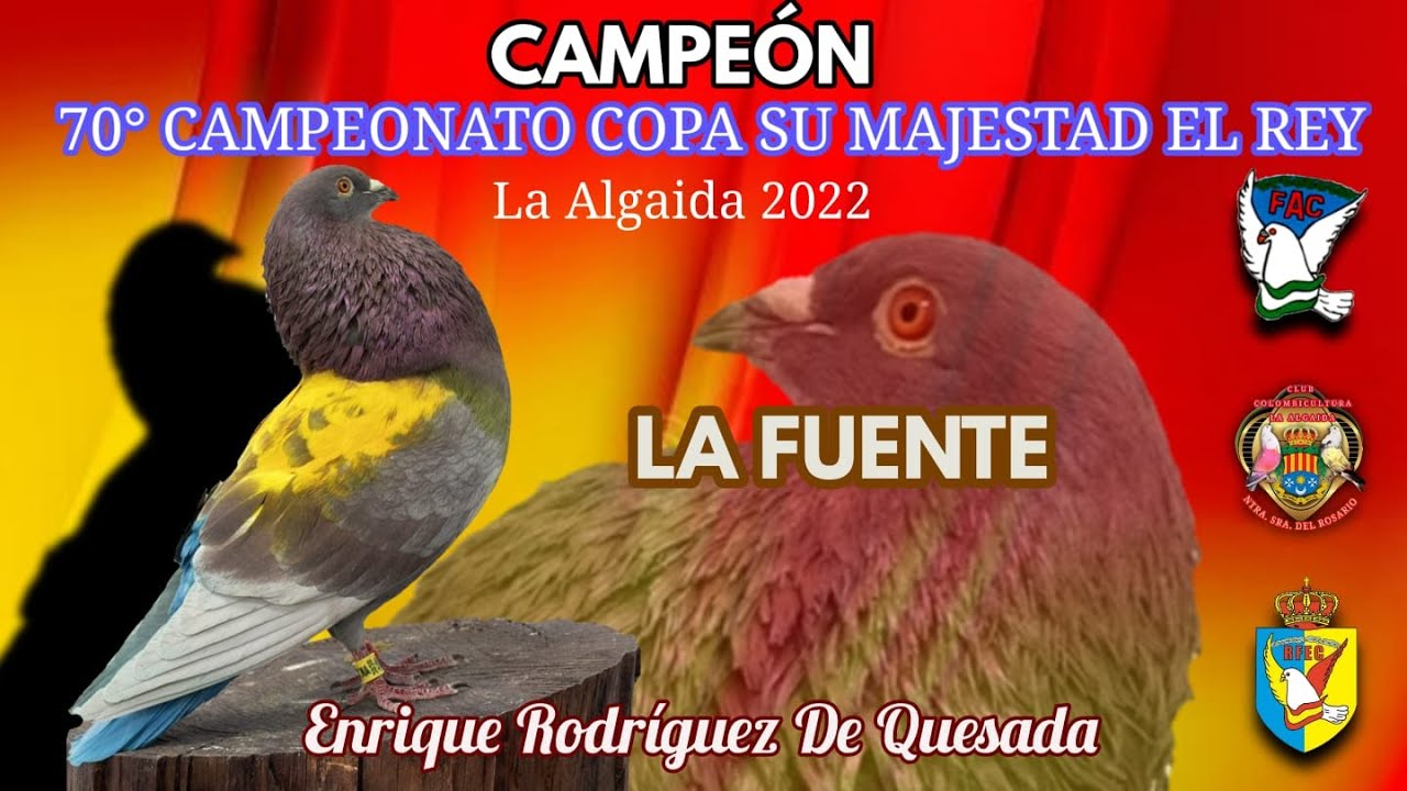NACIONAL DE COLOMBICULTURA  2022  LA ALGAIDA  7ª y ÚLTIMA PRUEBA