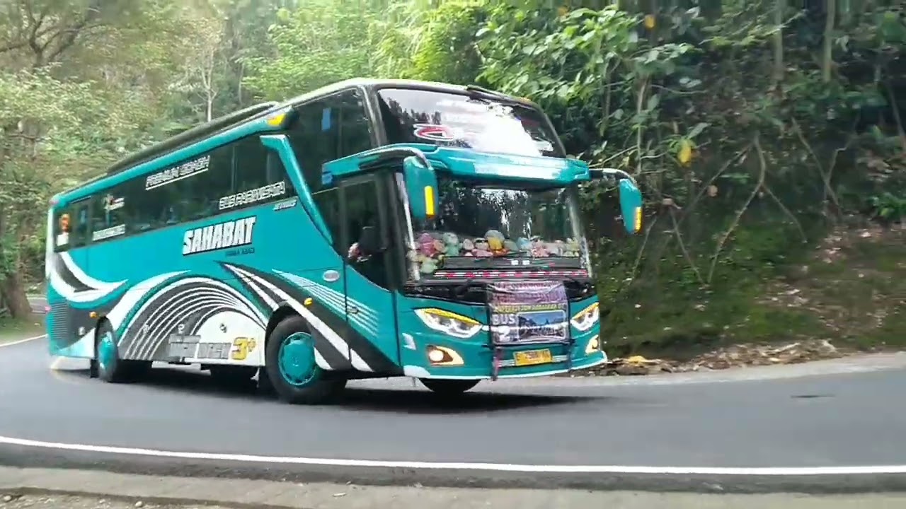 BASURI PULANG HEALING GACORRR 🎉🎉🎉🎉🎉🎉