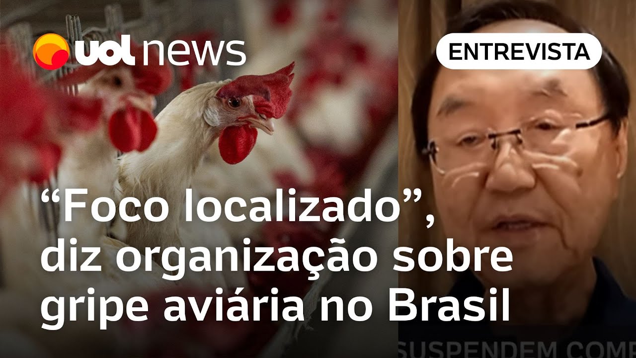 Gripe aviária: China já não importa frango do Rio Grande do Sul há meses, diz organização
