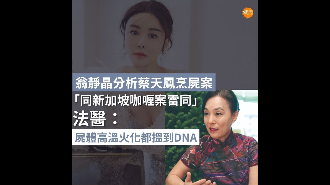 翁靜晶分析蔡天鳳烹屍案「同新加坡咖喱案雷同」法醫：屍體高溫火化都搵到DNA