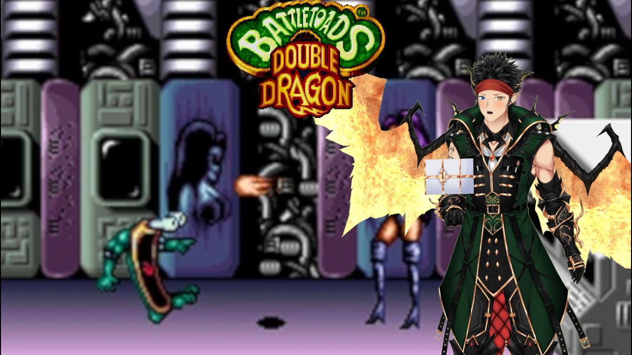 Battletoads & Double Dragon & SMW Speedrun