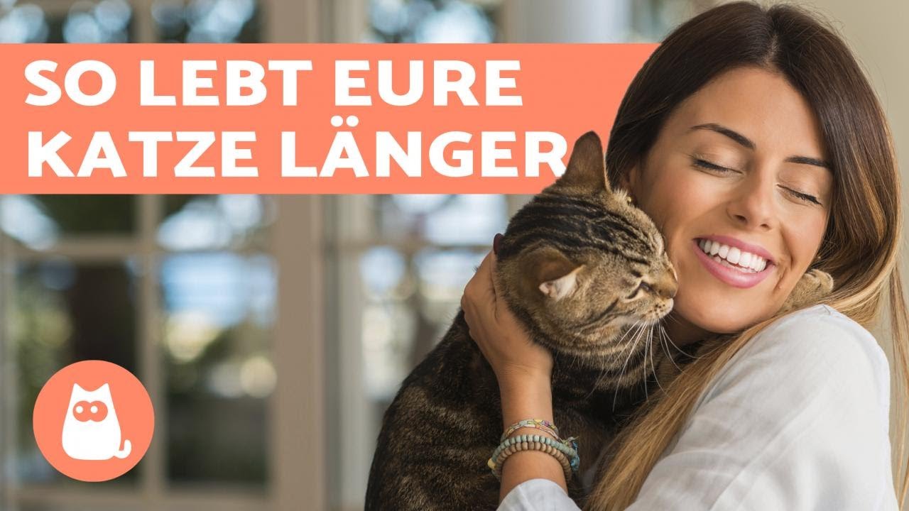 10 hilfreiche Tipps f&uuml;r ein langes Katzenleben