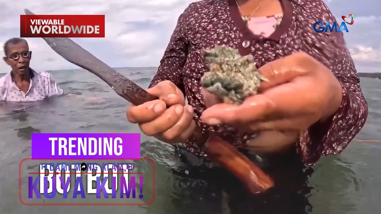 Sea anemone o buli-buli, tampok sa iba’t ibang lutuin! | Dami Mong Alam, Kuya Kim!